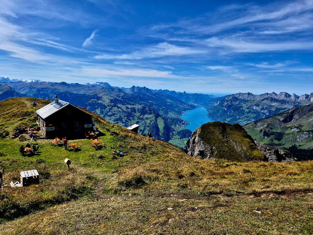 7 7