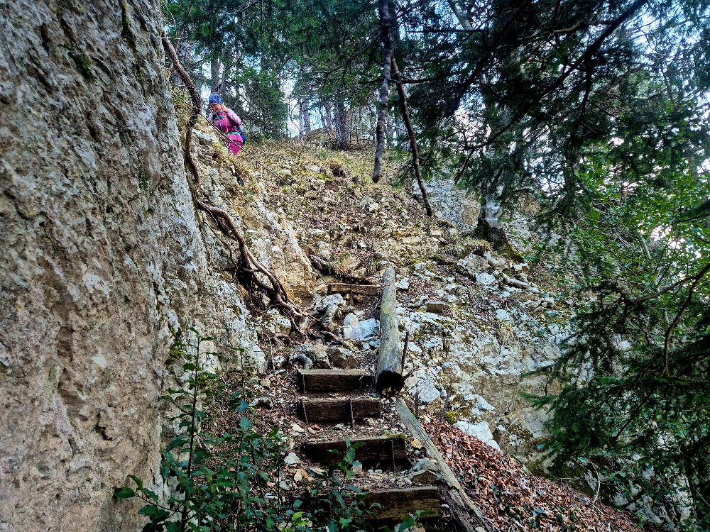 5 5