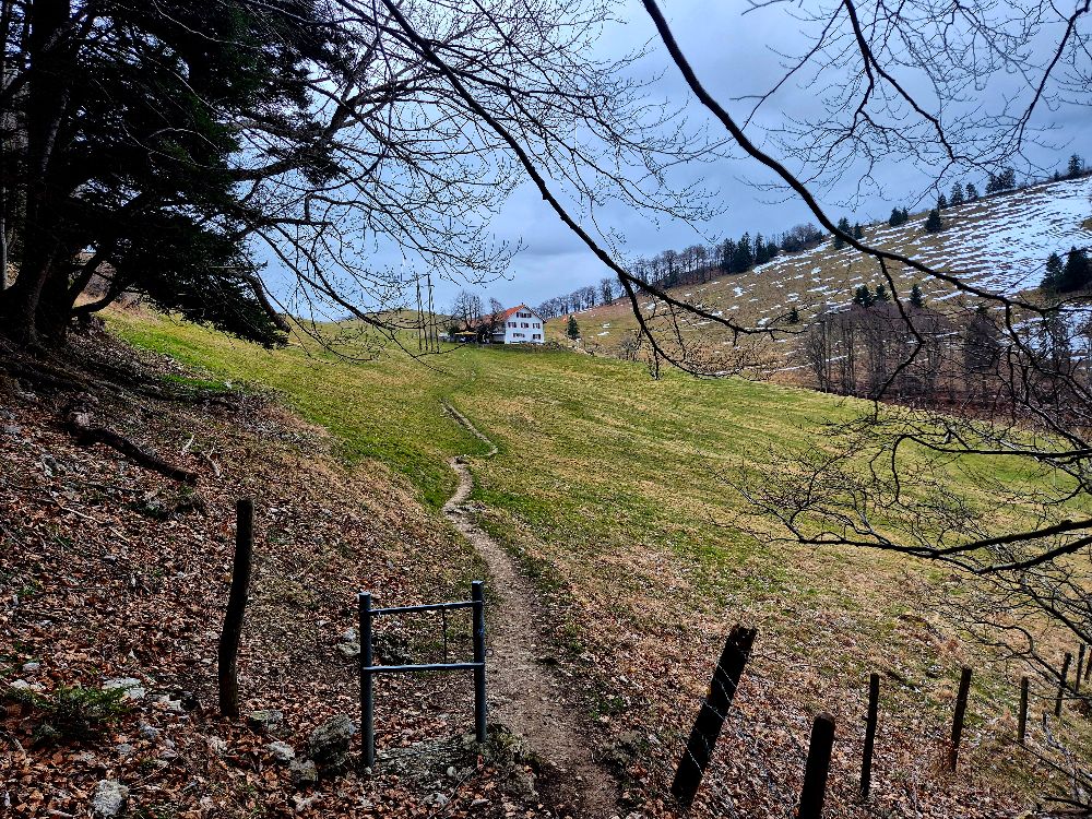 9 9