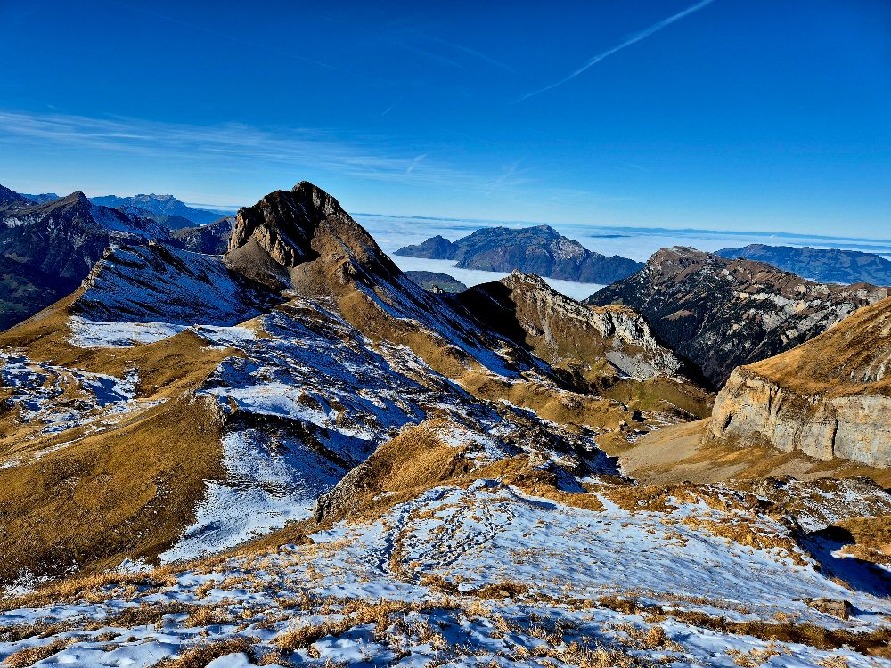 8 8